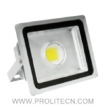 50W LED Floodlight