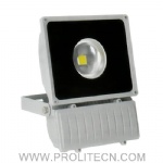 100W LED Floodlight