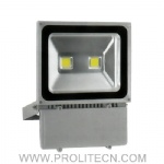 100W LED Floodlight