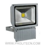 30W LED Floodlight