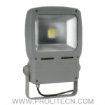 50W LED Floodlight