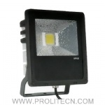 50W LED Floodlight