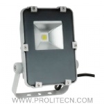 10W LED Floodlight