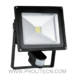 30W LED Sensor light