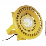 100W LED Explosion-proof light