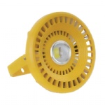 100W LED Explosion-proof light