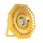 30W / 50W LED Explosion-proof light