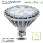 12W PAR30 LED Lamp