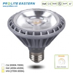 15W PAR30 LED Lamp