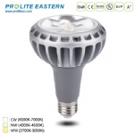 18W 28W PAR30 LED Lamp