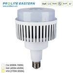 40W 60W 80W 100W LED High bay bulb